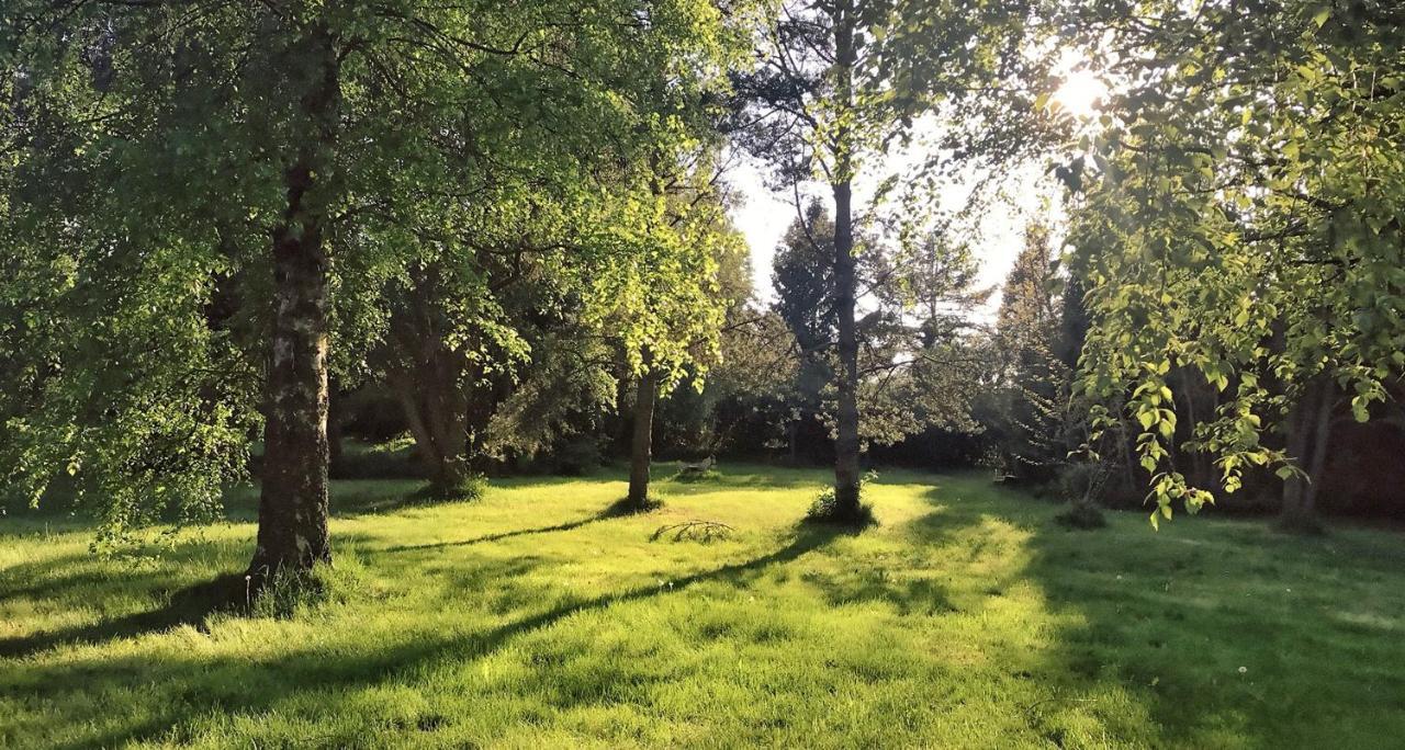 Domki Nad Morzem Cello Ostrowo  Exterior foto